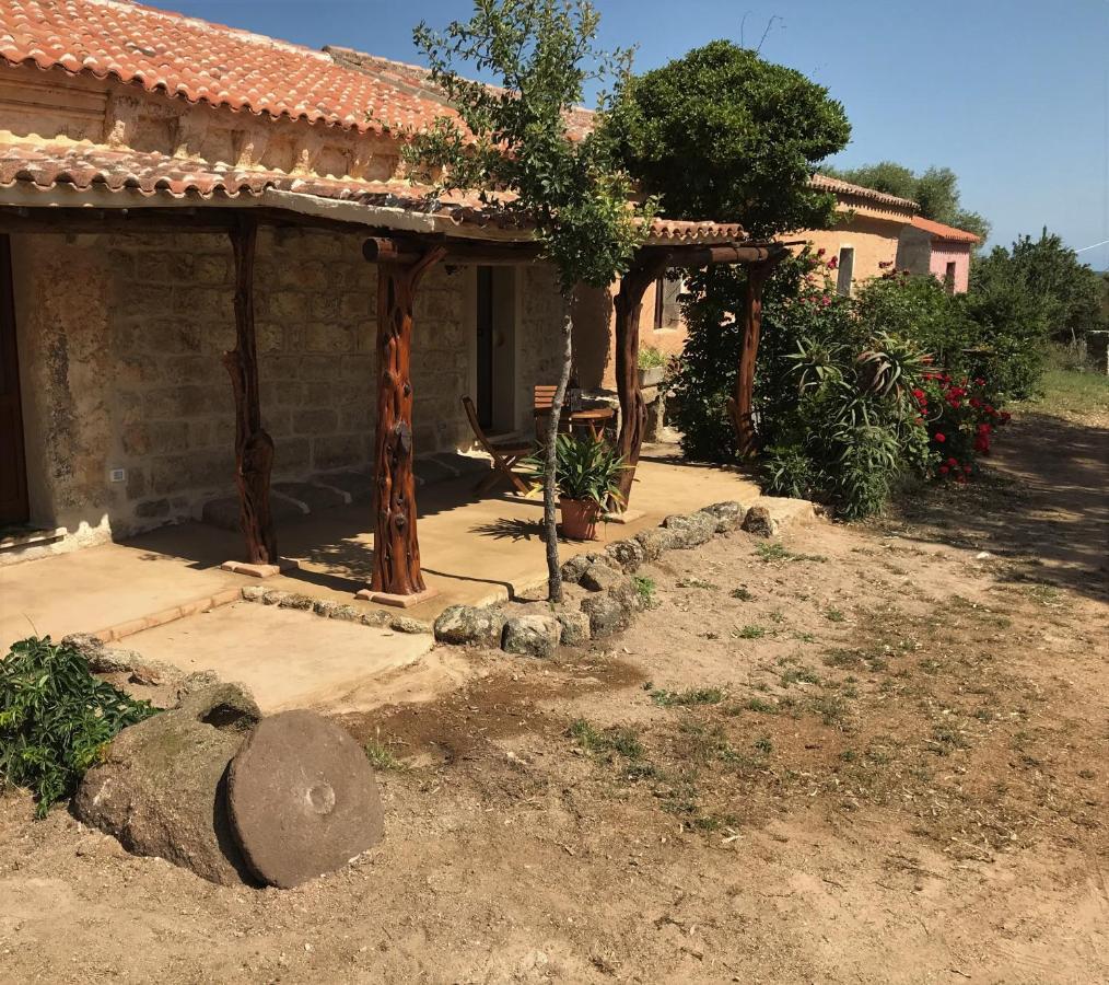 Li Casacci Bed & Breakfast Арцахена Екстериор снимка